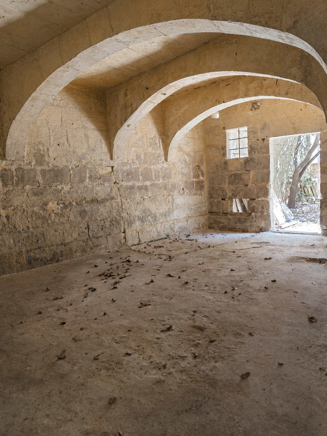 Unconverted house of character courtyard